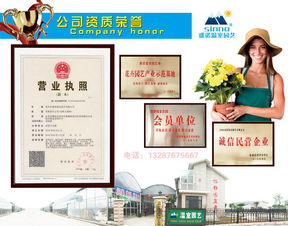 2017花海設(shè)計(jì)、造價(jià)與十年種植施工經(jīng)驗(yàn)下的數(shù)字內(nèi)容制作服務(wù)